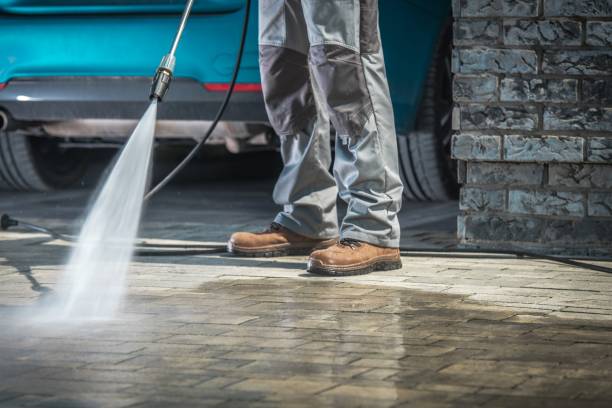 Best Soft Washing  in Ravena, NY